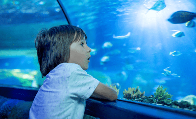🐠 Mazatlán Aquarium and Central Park: Nature, Science, and Fun for Everyone